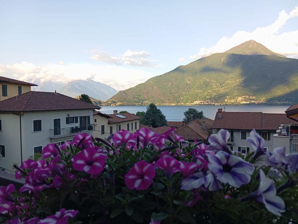 Tre o più locali a Pianello del Lario